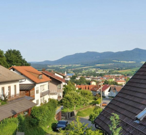 Großzügige Ferienwohnung in Furth im Wald